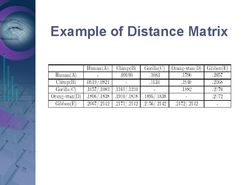 Example of Distance Matrix Example of Distance Matrix