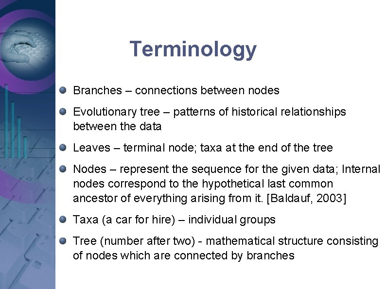Terminology Branches – connections between nodes Evolutionary tree – patterns of historical relationships between Terminology Branches – connections between nodes Evolutionary tree – patterns of historical relationships between
