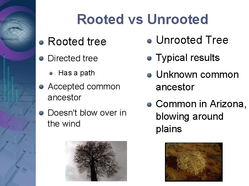 Rooted vs Unrooted Rooted tree Unrooted Tree Directed tree Typical results Has a path Rooted vs Unrooted Rooted tree Unrooted Tree Directed tree Typical results Has a path