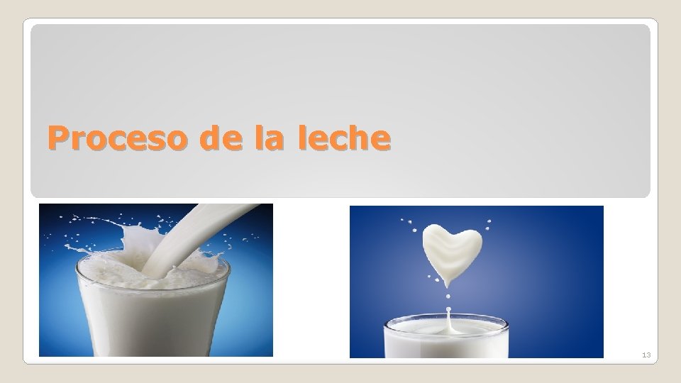 Proceso de la leche 13 