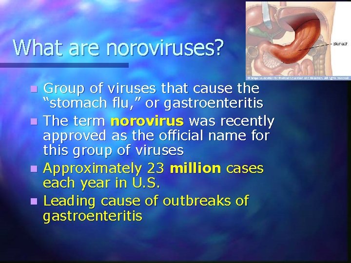 What are noroviruses? n n Group of viruses that cause the “stomach flu, ”