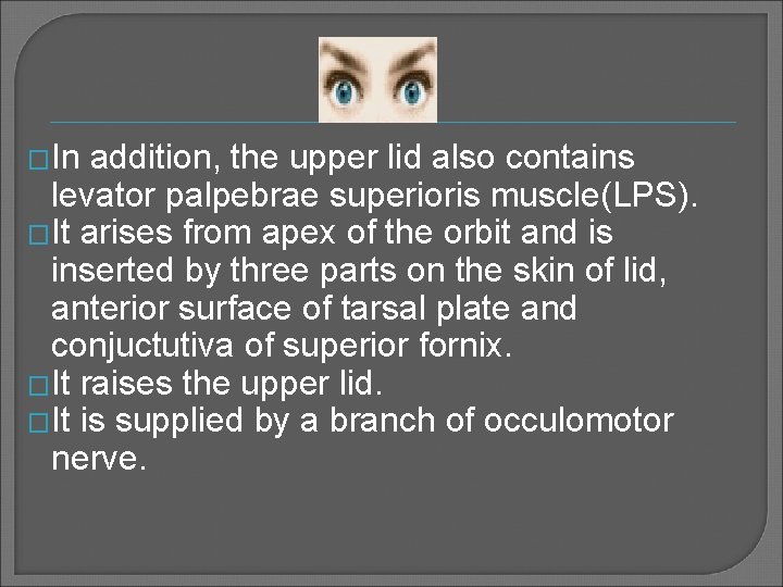 �In addition, the upper lid also contains levator palpebrae superioris muscle(LPS). �It arises from