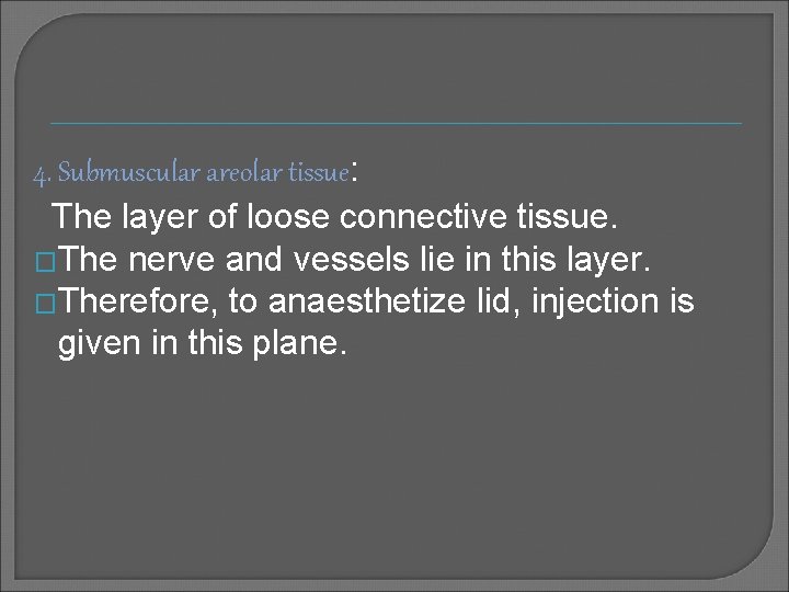 4. Submuscular areolar tissue: The layer of loose connective tissue. �The nerve and vessels