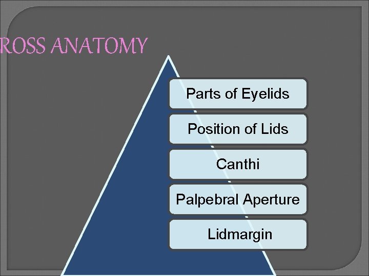 ROSS ANATOMY Parts of Eyelids Position of Lids Canthi Palpebral Aperture Lidmargin 
