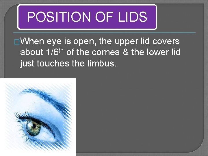 POSITION OF LIDS �When eye is open, the upper lid covers about 1/6 th