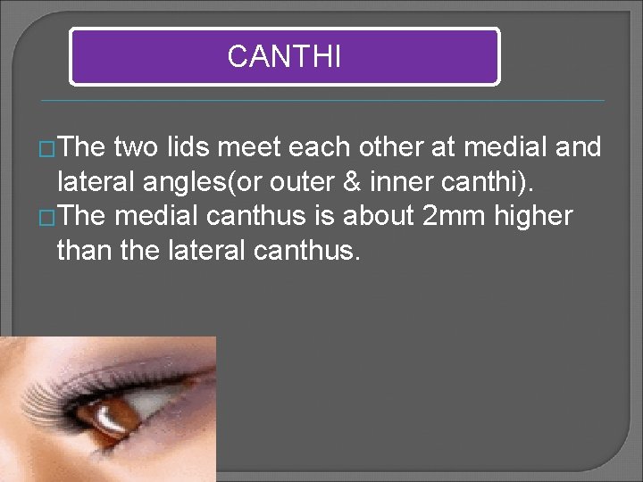 CANTHI �The two lids meet each other at medial and lateral angles(or outer &