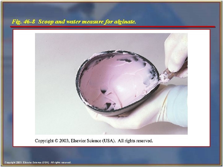 Fig. 46 -8 Scoop and water measure for alginate. Copyright 2003, Elsevier Science (USA).