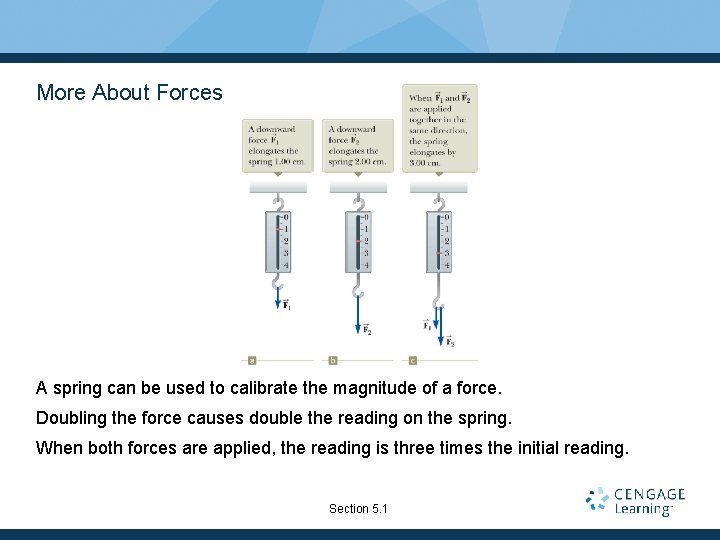 More About Forces A spring can be used to calibrate the magnitude of a