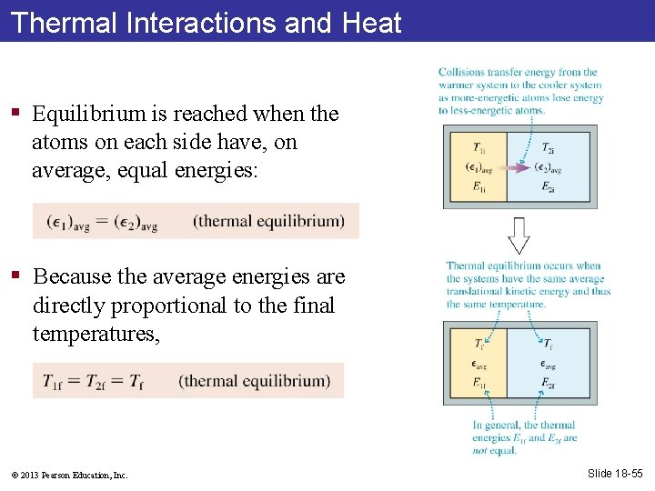 Thermal Interactions and Heat § Equilibrium is reached when the atoms on each side