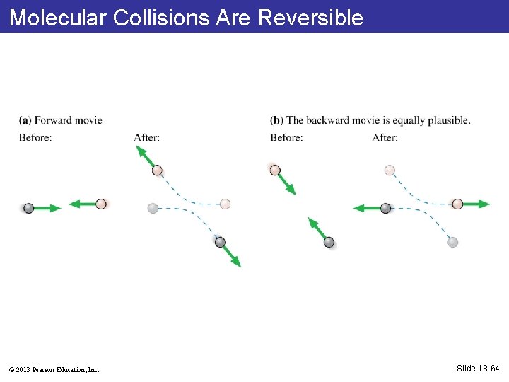 Molecular Collisions Are Reversible © 2013 Pearson Education, Inc. Slide 18 -64 