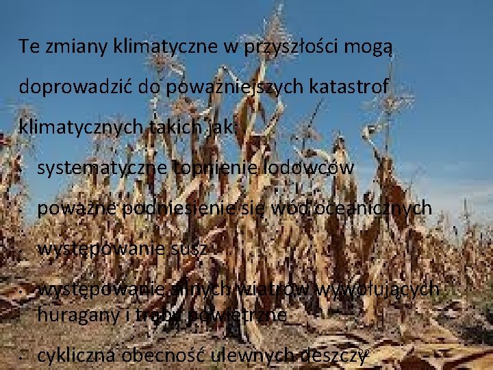 Te zmiany klimatyczne w przyszłości mogą doprowadzić do poważniejszych katastrof klimatycznych takich jak: •