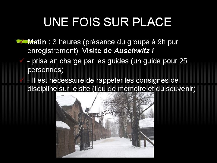 UNE FOIS SUR PLACE ü Matin : 3 heures (présence du groupe à 9