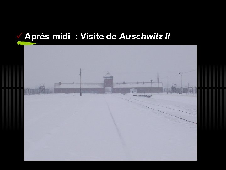 ü Après midi : Visite de Auschwitz II 