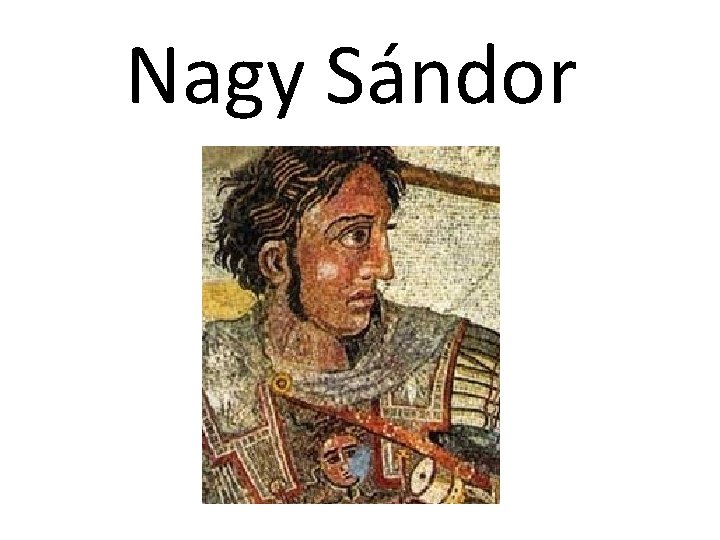 Nagy Sándor Nagy Sándor
