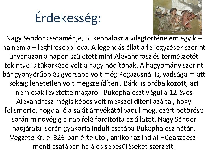 Érdekesség: Nagy Sándor csataménje, Bukephalosz a világtörténelem egyik – ha nem a – leghíresebb Érdekesség: Nagy Sándor csataménje, Bukephalosz a világtörténelem egyik – ha nem a – leghíresebb