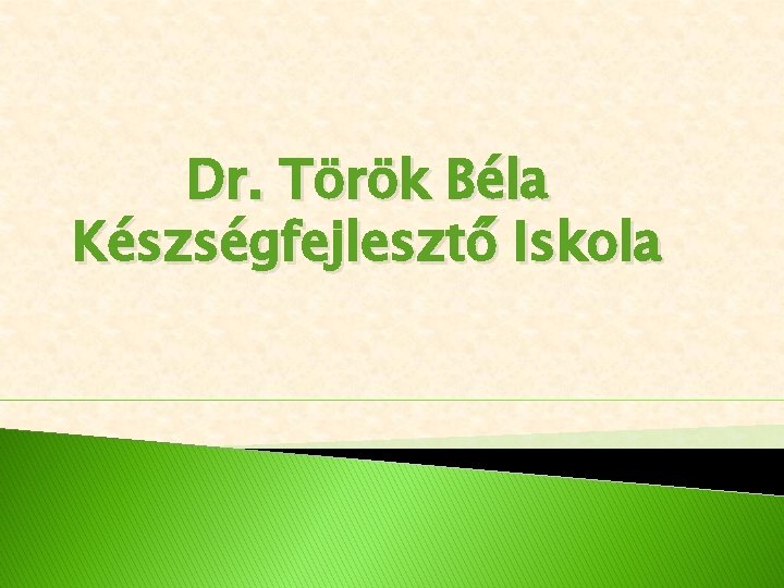 Dr. Török Béla Készségfejlesztő Iskola 