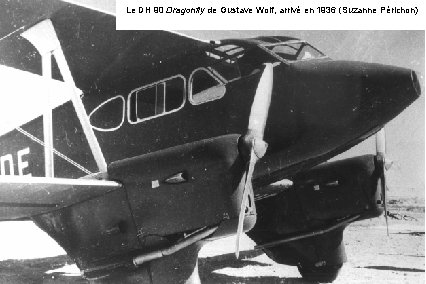 Le DH 90 Dragonfly de Gustave Wolf, arrivé en 1936 (Suzanne Périchon) 