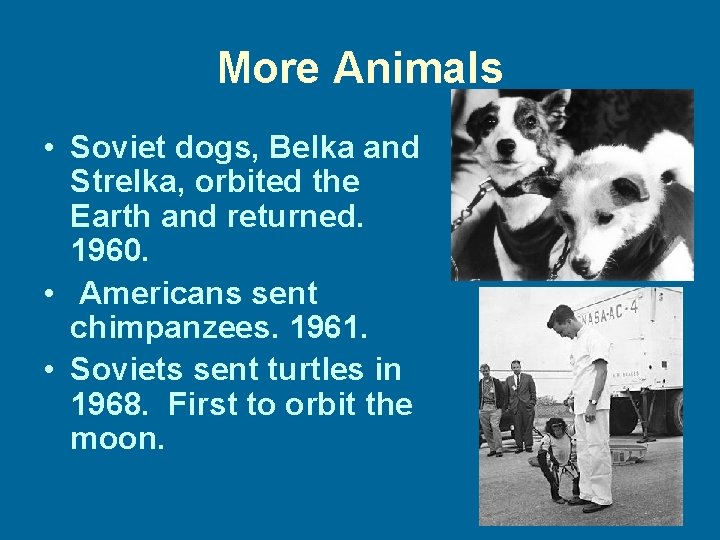 More Animals • Soviet dogs, Belka and Strelka, orbited the Earth and returned. 1960.