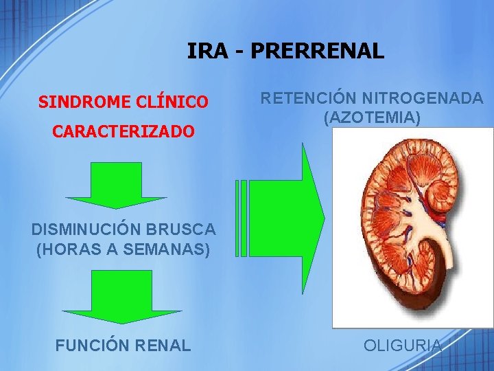 IRA - PRERRENAL SINDROME CLÍNICO CARACTERIZADO RETENCIÓN NITROGENADA (AZOTEMIA) DISMINUCIÓN BRUSCA (HORAS A SEMANAS)