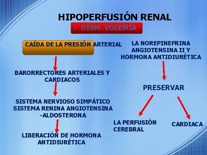 HIPOPERFUSIÓN RENAL n DISM. VOLEMIA LA NOREPINEFRINA ANGIOTENSINA II Y HORMONA ANTIDIURÉTICA CAÍDA DE