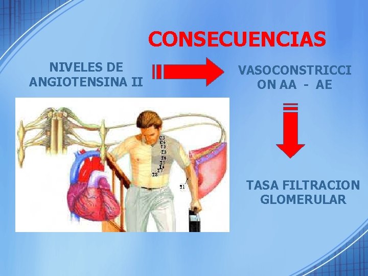 CONSECUENCIAS NIVELES DE ANGIOTENSINA II VASOCONSTRICCI ON AA - AE TASA FILTRACION GLOMERULAR 