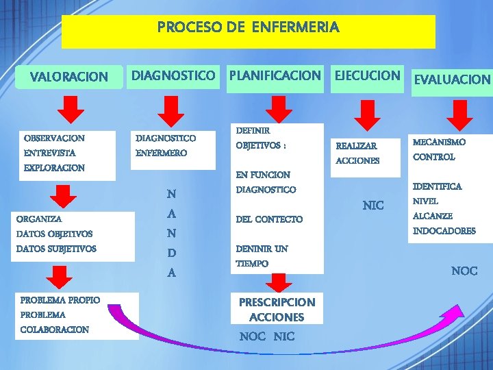 PROCESO DE ENFERMERIA VALORACION OBSERVACION ENTREVISTA EXPLORACION ORGANIZA DATOS OBJETIVOS DATOS SUBJETIVOS PROBLEMA PROPIO