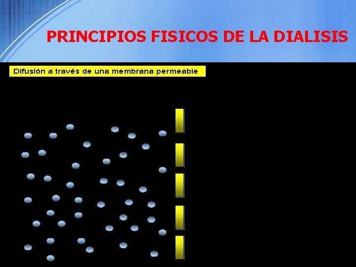 PRINCIPIOS FISICOS DE LA DIALISIS 