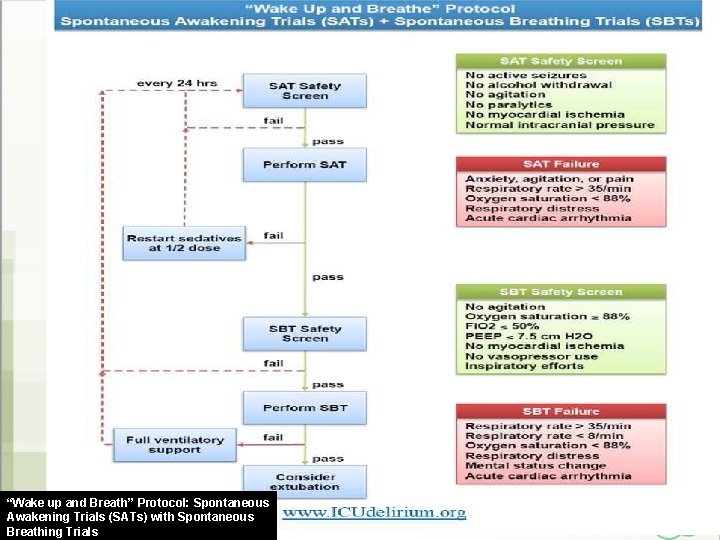 “Wake up and Breath” Protocol: Spontaneous Awakening Trials (SATs) with Spontaneous Breathing Trials 