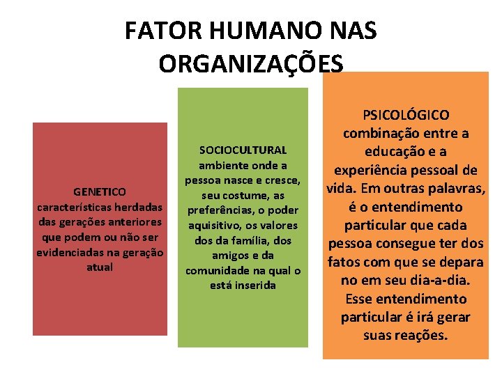 FATOR HUMANO NAS ORGANIZAÇÕES GENETICO características herdadas gerações anteriores que podem ou não ser