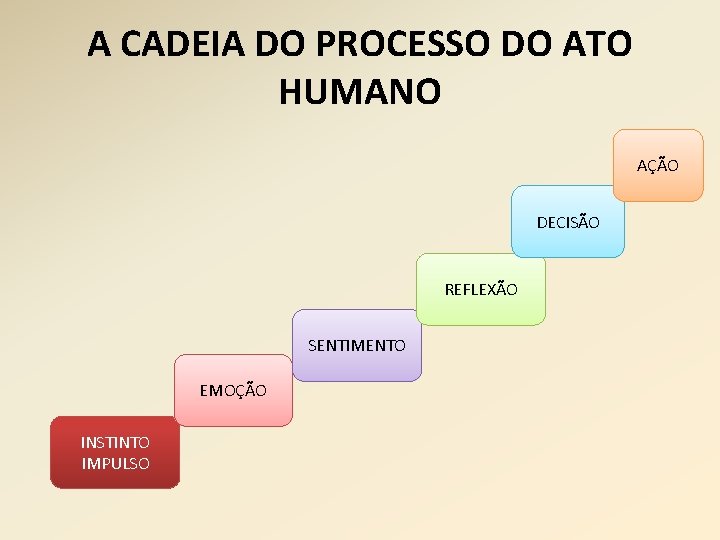 A CADEIA DO PROCESSO DO ATO HUMANO AÇÃO DECISÃO REFLEXÃO SENTIMENTO EMOÇÃO INSTINTO IMPULSO