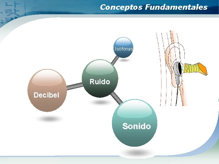 Conceptos Fundamentales Isófonas Ruido Decibel Sonido www. themegallery. com Company Logo 