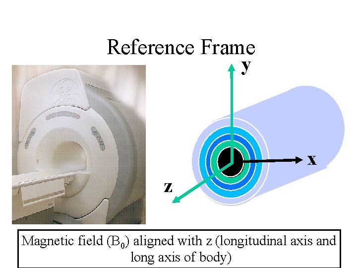 Reference Frame y x z Magnetic field (B 0) aligned with z (longitudinal axis