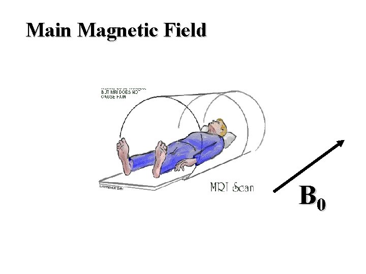 Main Magnetic Field B 0 