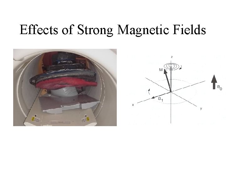 Effects of Strong Magnetic Fields 