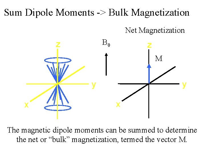 Sum Dipole Moments -> Bulk Magnetization Net Magnetization B 0 z z M y