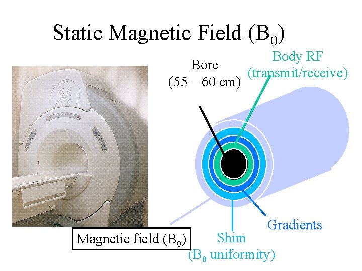 Static Magnetic Field (B 0) Bore (55 – 60 cm) Magnetic field (B 0)