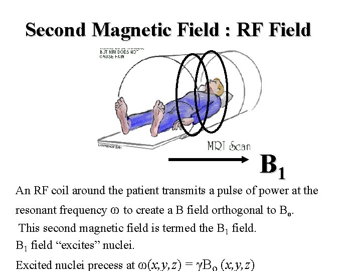 Second Magnetic Field : RF Field B 1 An RF coil around the patient