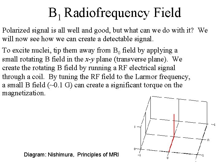 B 1 Radiofrequency Field Polarized signal is all well and good, but what can