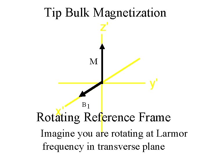 Tip Bulk Magnetization z' M y' x' B 1 Rotating Reference Frame Imagine you