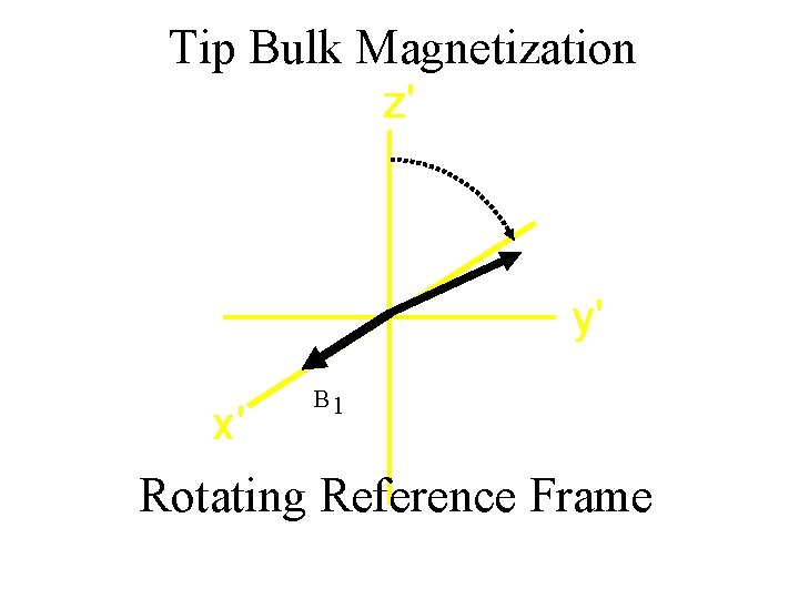 Tip Bulk Magnetization z' y' x' B 1 Rotating Reference Frame 