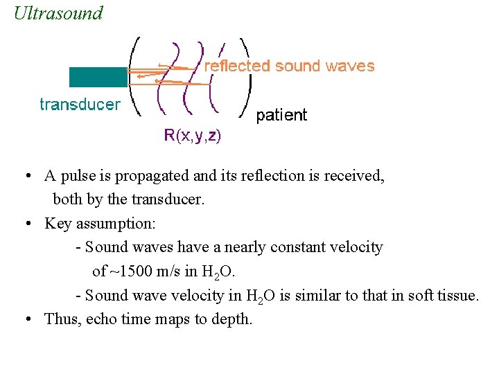 Ultrasound • A pulse is propagated and its reflection is received, both by the