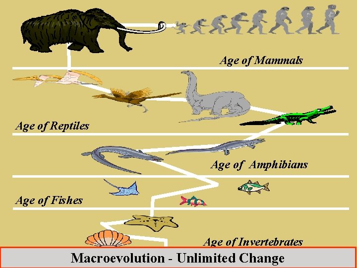 Age of Mammals Age of Reptiles Age of Amphibians Age of Fishes Age of