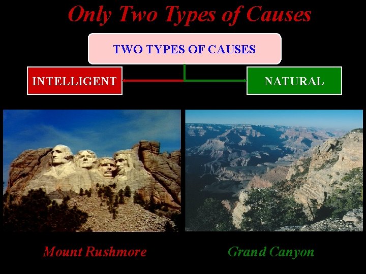 Only Two Types of Causes TWO TYPES OF CAUSES INTELLIGENT Mount Rushmore NATURAL Grand