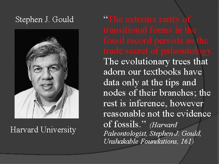 Stephen J. Gould Harvard University “The extreme rarity of transitional forms in the fossil