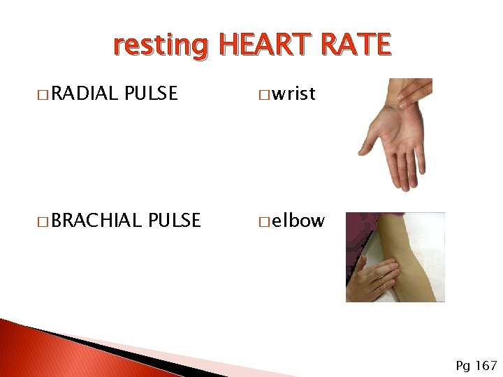 resting HEART RATE � RADIAL PULSE � BRACHIAL PULSE � wrist � elbow Pg