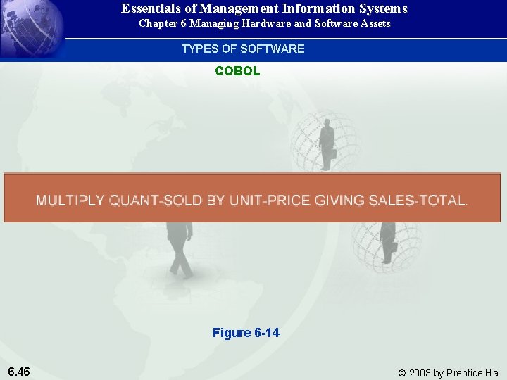 Essentials of Management Information Systems Chapter 6 Managing Hardware and Software Assets TYPES OF