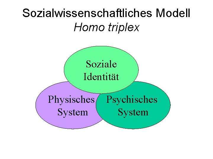 Sozialwissenschaftliches Modell Homo triplex Soziale Identität Physisches Psychisches System 