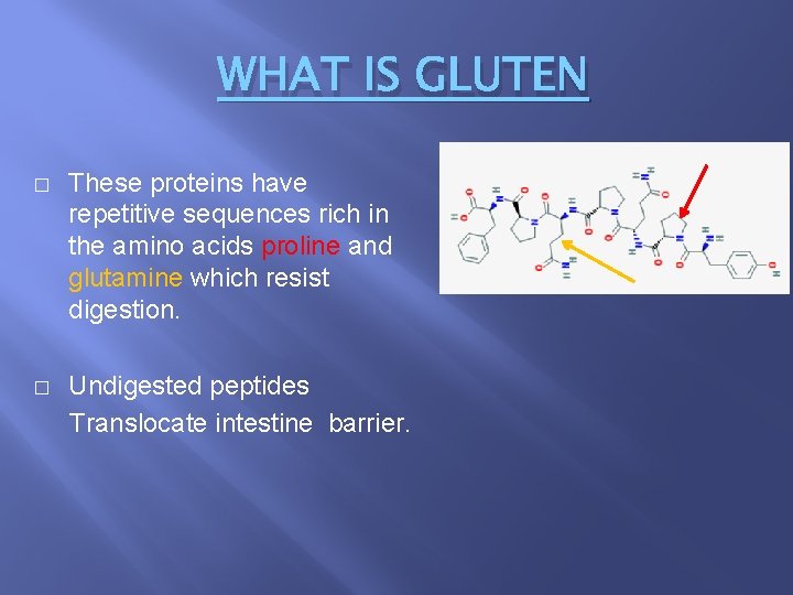 WHAT IS GLUTEN � These proteins have repetitive sequences rich in the amino acids