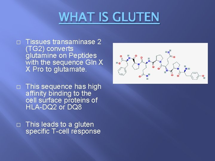 WHAT IS GLUTEN � Tissues transaminase 2 (TG 2) converts glutamine on Peptides with