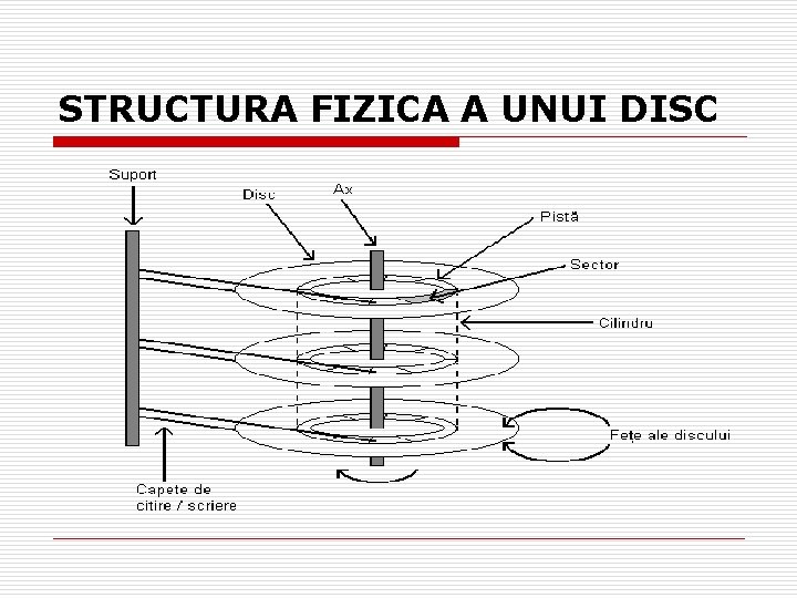 STRUCTURA FIZICA A UNUI DISC 